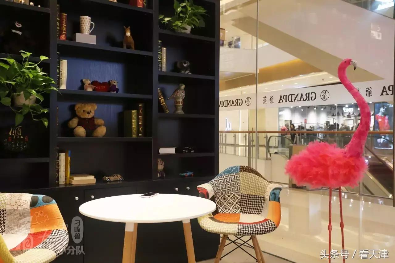 天津终于迎来台湾排队王“爷茶”！爷爷泡的网红茶！