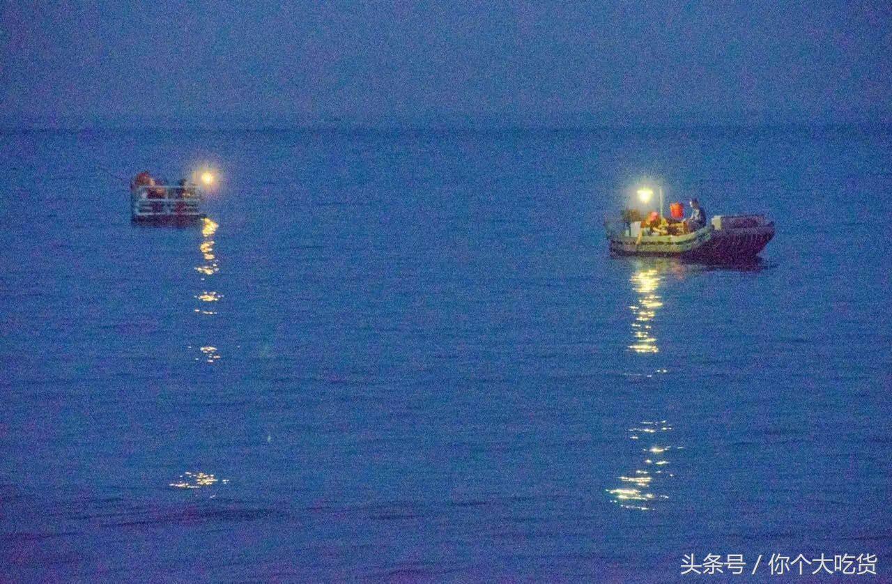 食材｜东山小管：有着一肚子的墨水，却是鱿鱼家族的小可爱！