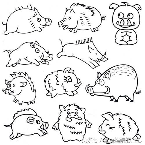 土豆姑娘的日记027-简笔画之森林里的动物朋友们3（蜗牛恐龙）