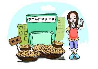 农村的村官有哪些,在农村最受欢迎的村干部