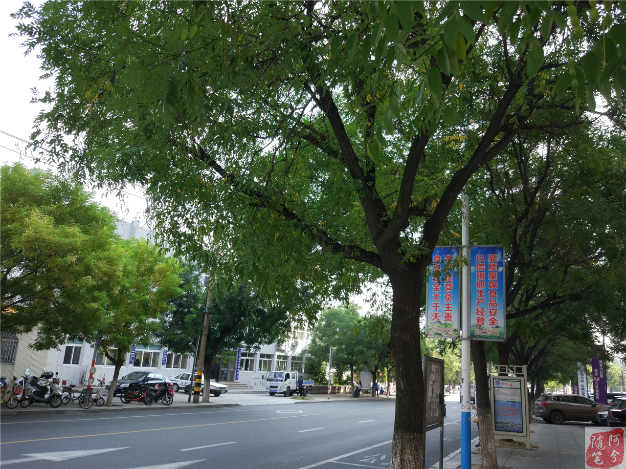 农村最常见的草能止痒,农村常见的止痒植物外用