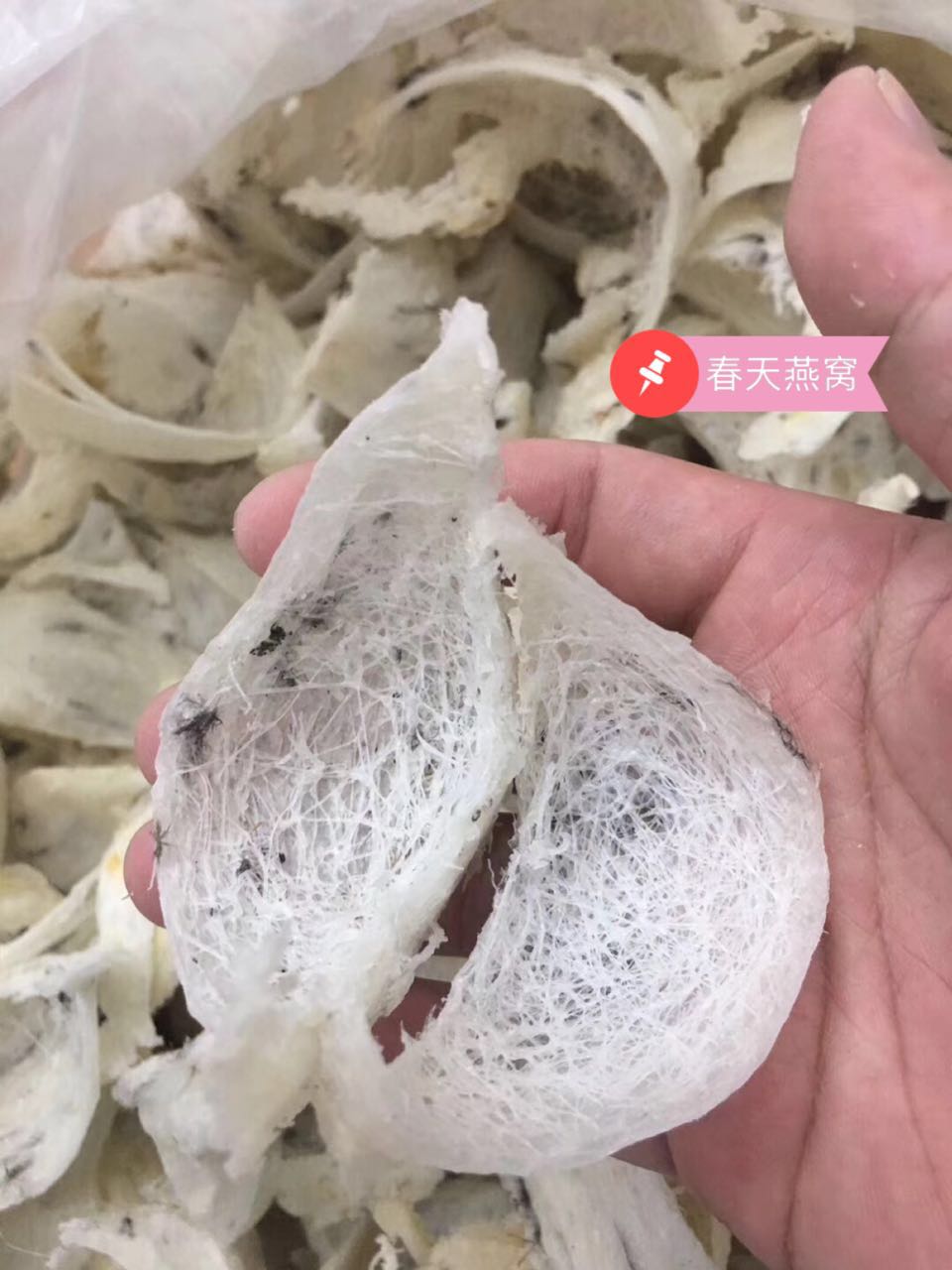 燕窝知识及鉴别哪种燕窝最好,燕窝的泡法来分辨燕窝的好坏