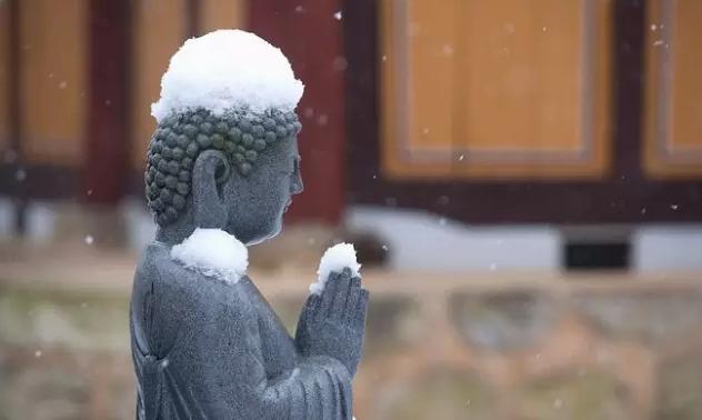 我问佛,我问佛为什么佛却低头不语语录