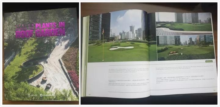 屋顶体育运动场地,房顶运动