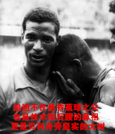 冰与火之歌所有龙蛋,解读冰与火之歌03