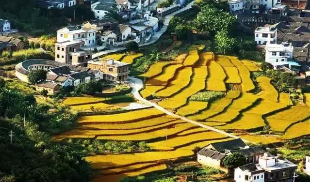 不出深圳的国庆游玩攻略,深圳国庆不出深自驾游推荐