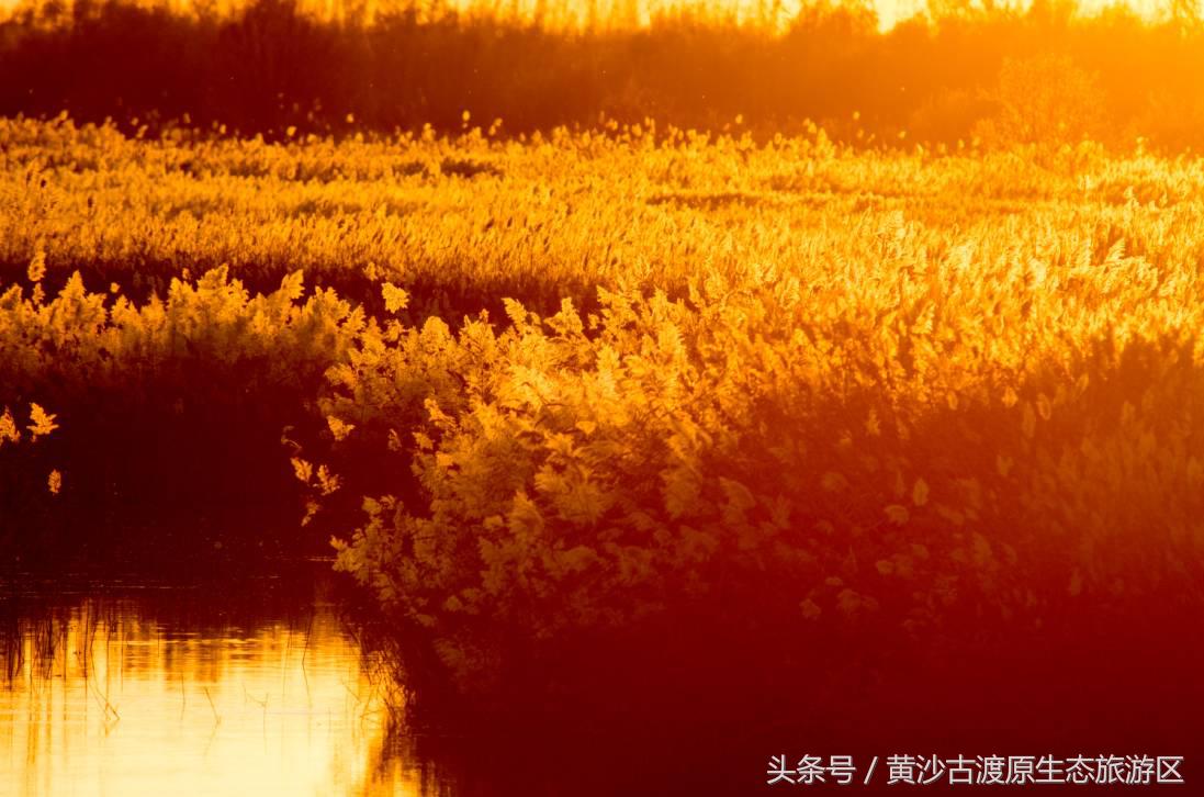 国庆假期去宁夏旅游需要准备什么,国庆宁夏三天两晚旅游攻略