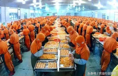 投资农业最好的机会是已经到了吗,农业是下一个投资风口吗