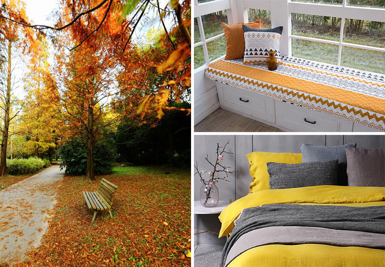 以秋色偎暖意,擅用理论饰潮家