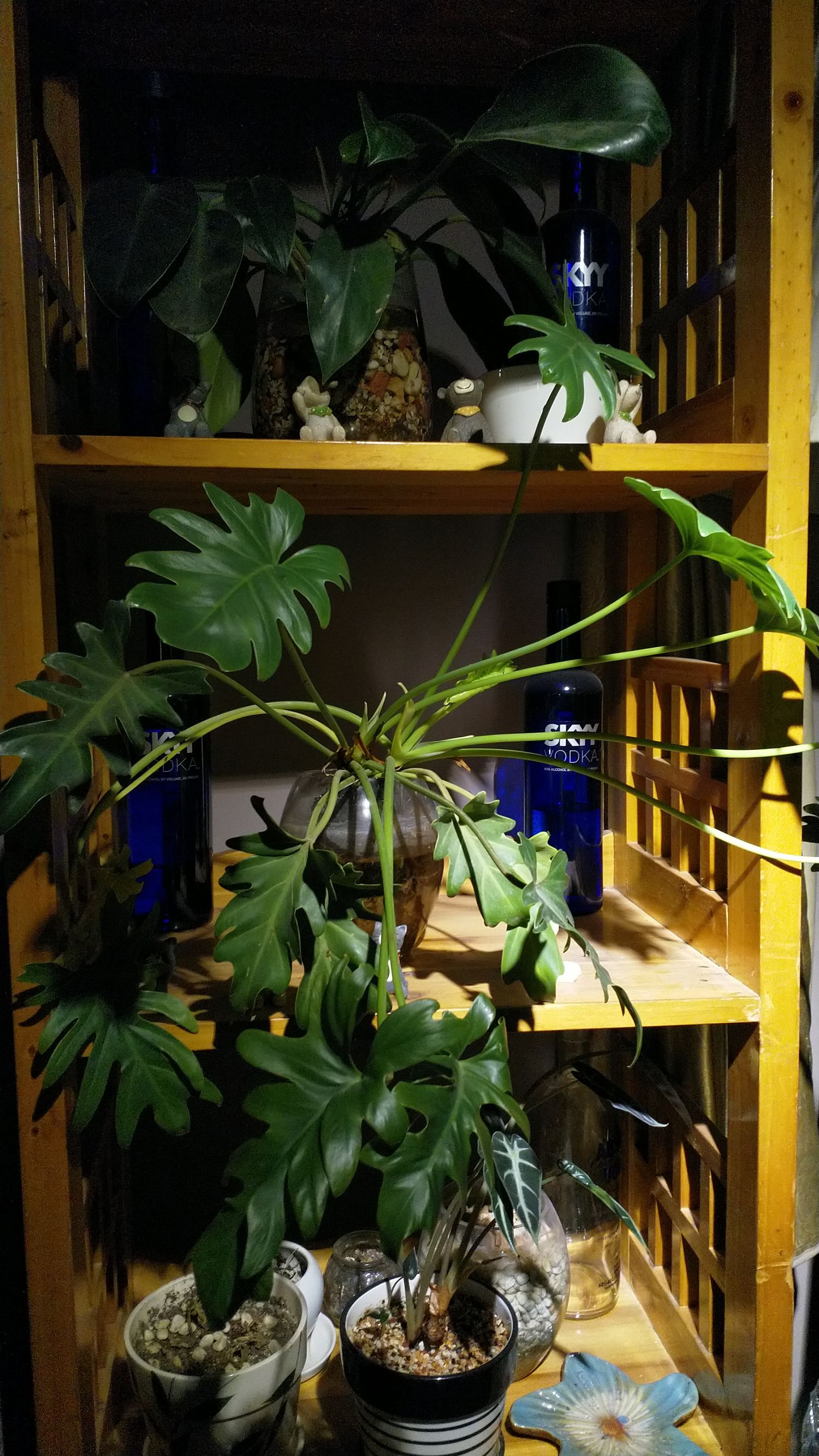 诺基亚8的实际体验如何,诺基亚8快速上手评测