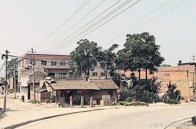 西安古村真实事件,贾里村张勇