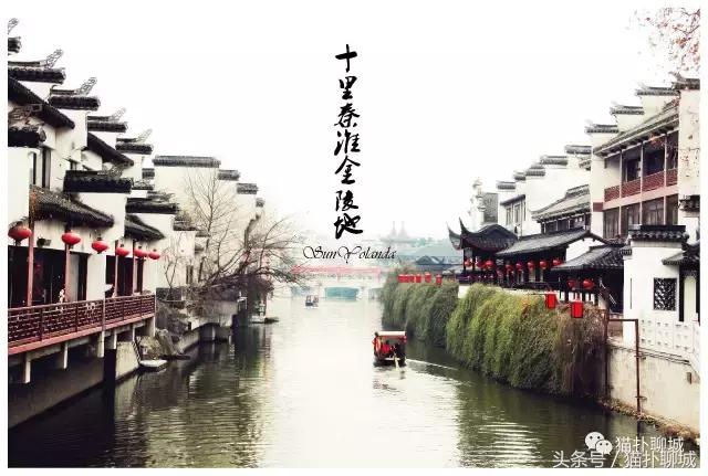 因为爱情,这几个人说出了留在或者离开聊城的原因!