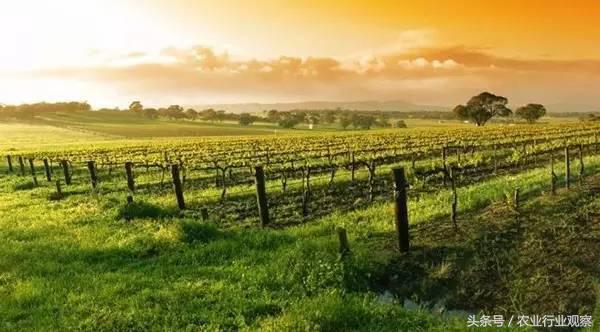 投资农业最好的机会是已经到了吗,农业是下一个投资风口吗