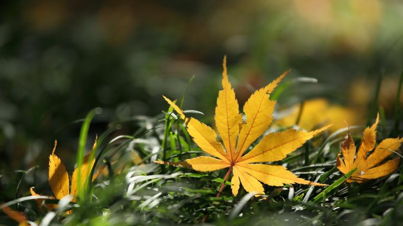 以秋色偎暖意,擅用理论饰潮家