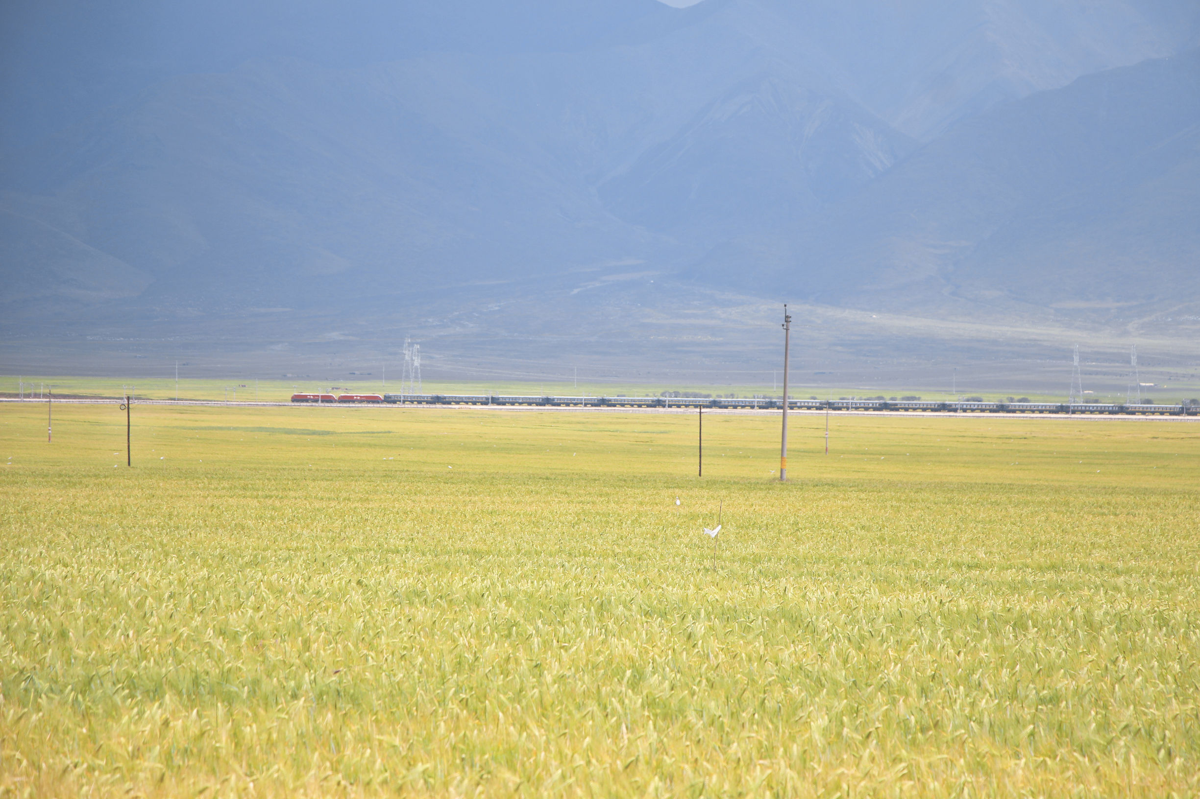 青海湖｜为了去这地儿我辞了7个月的工作