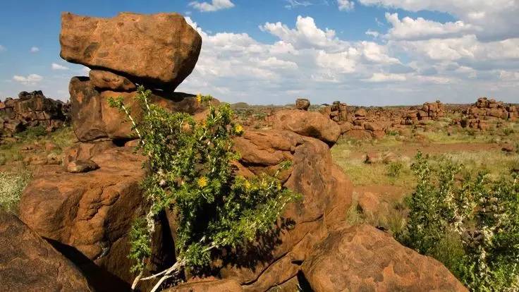 纳米比亚暗夜保护区,世界尽头与冷酷仙境是谁写的