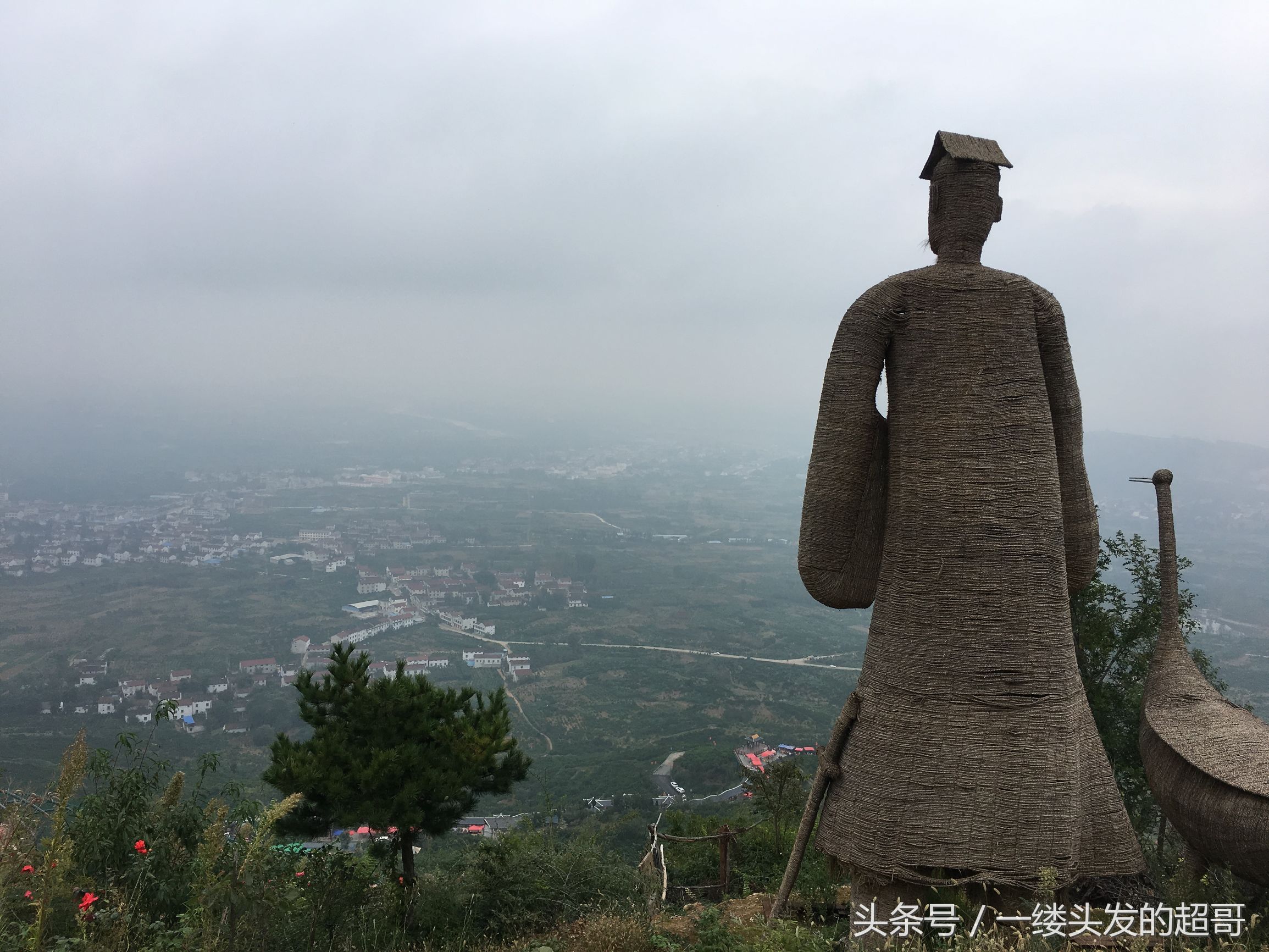 升仙村蜜橘,城固升仙村的橘子