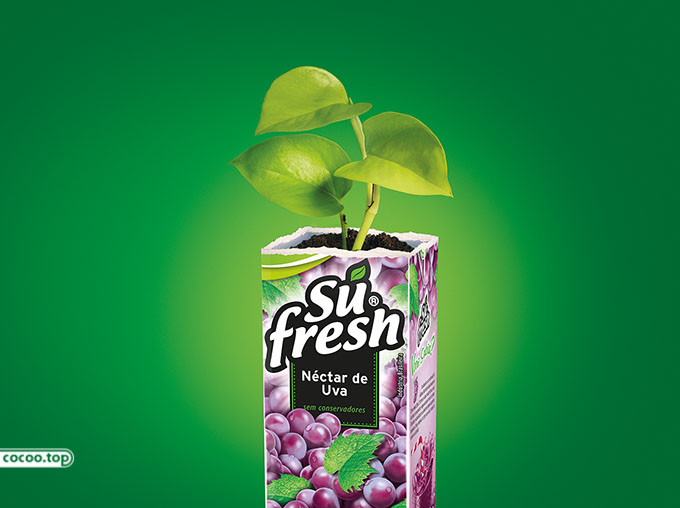 平面设计创作说明,平面设计元素的构思