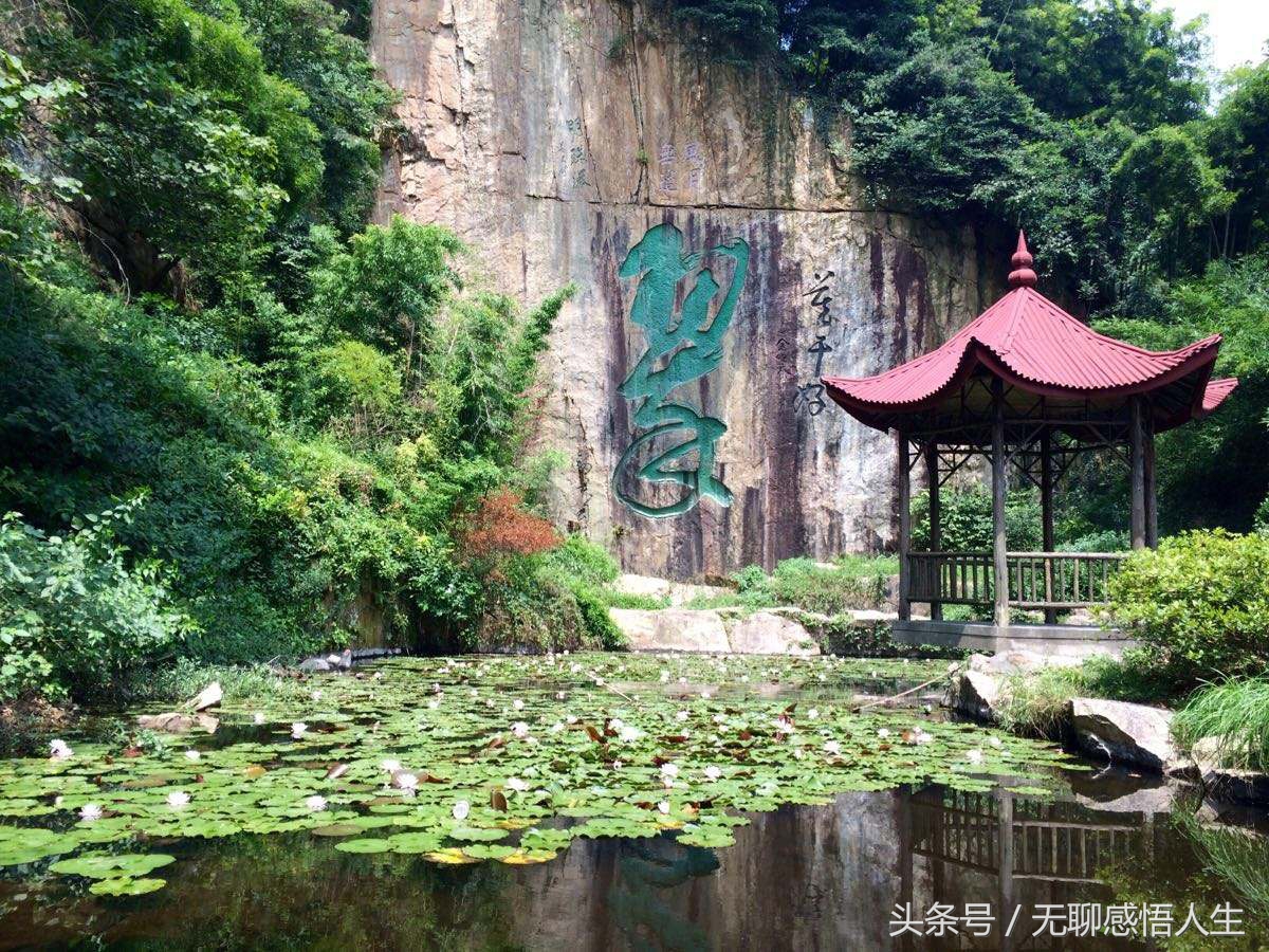 湖州德清百强县,德清县百强县排名