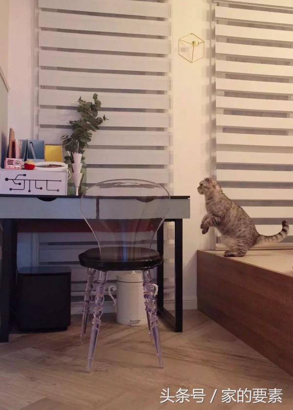 拒绝性冷淡,她把马卡龙色涂上了墙