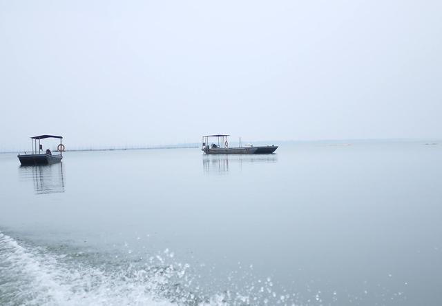 正宗阳澄湖的蟹多少钱一只,正宗澄湖蟹多少钱一只