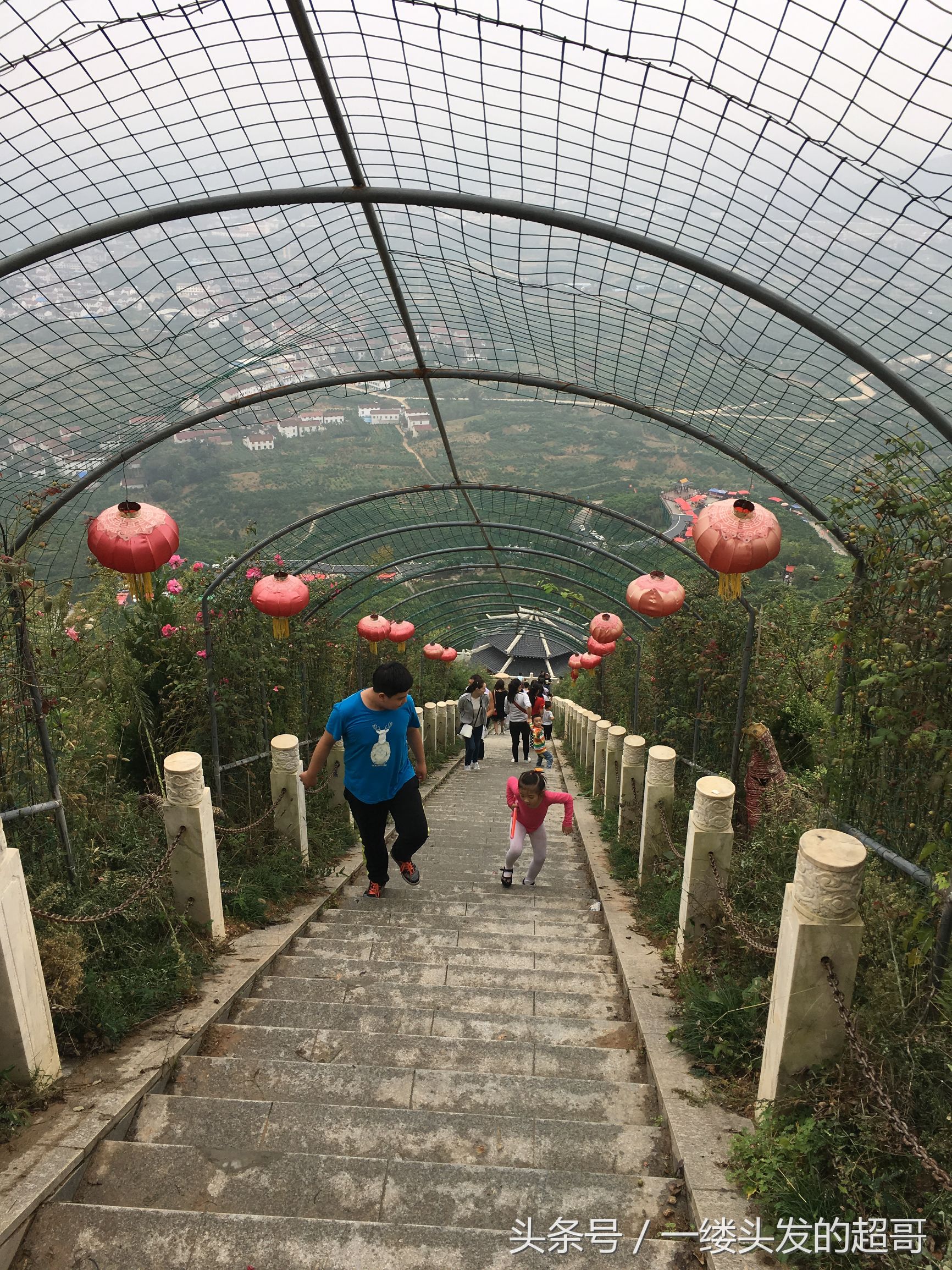 升仙村蜜橘,城固升仙村的橘子