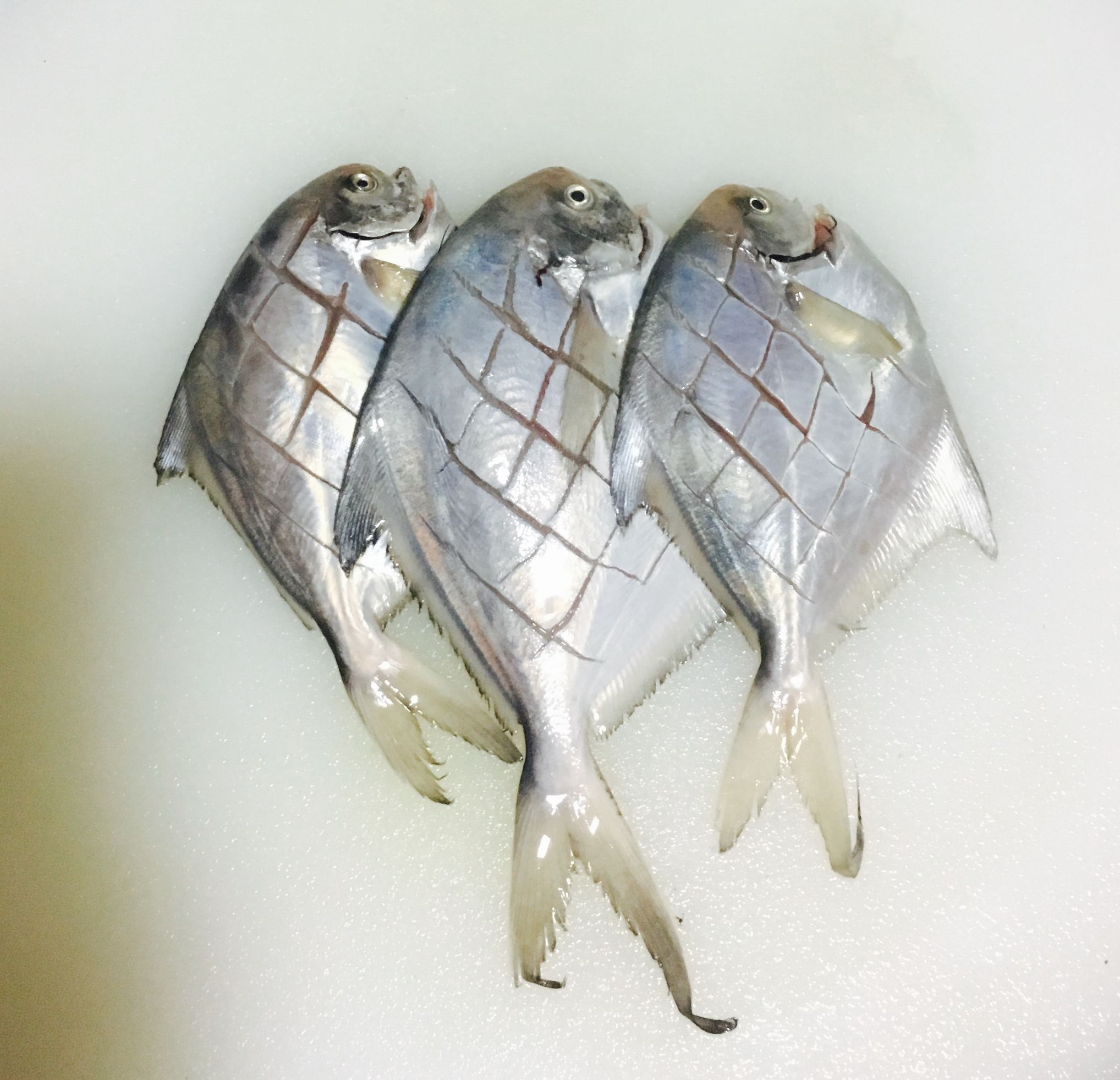 家常菜红烧鲳鱼简单入味,红烧鲳鱼的最佳吃法和做法