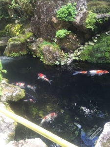 日本小众深度游玩攻略,日本关西打卡攻略