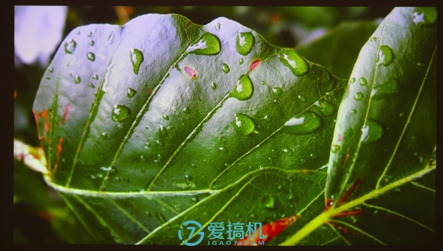 坚果a6投影仪怎么样,投影仪性价比之王千元机