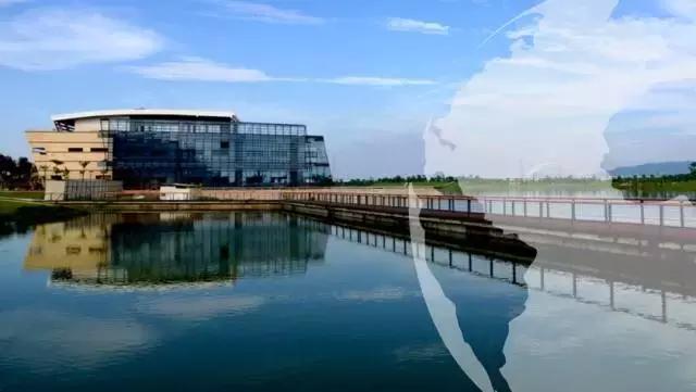 龙文：芒果互联网科技——世界那么大抱团去看看