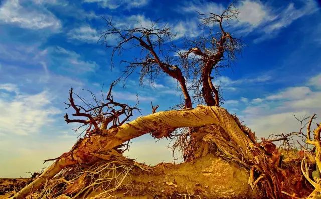 分手后独自旅行该去哪里,分手后一个人去哪旅行