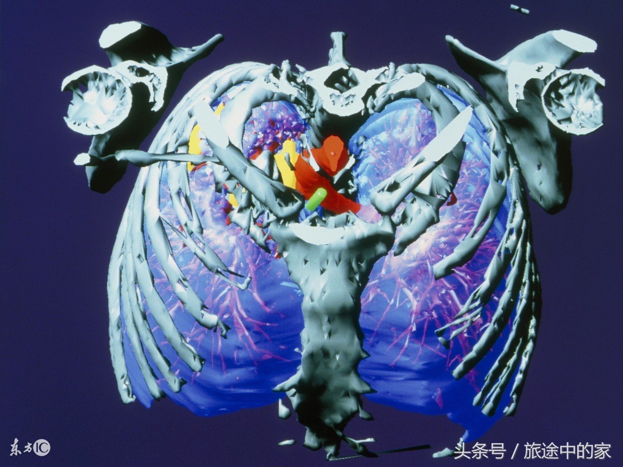 10种常见癌症早期症状知道能救命,这6种高发疾病要当心