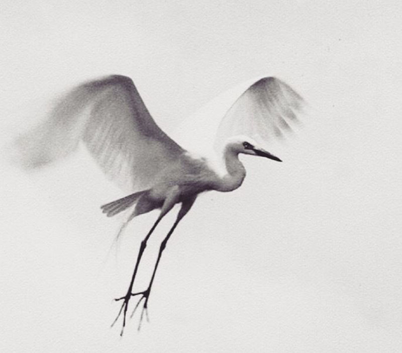 她美貌堪比王祖贤,她相貌出众