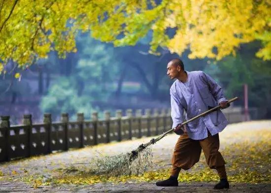 一叶知秋英语,一叶知秋英文怎么写