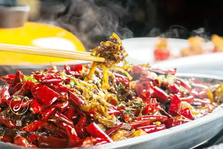 上海中山公园周末玩乐推荐,上海中山公园鱼