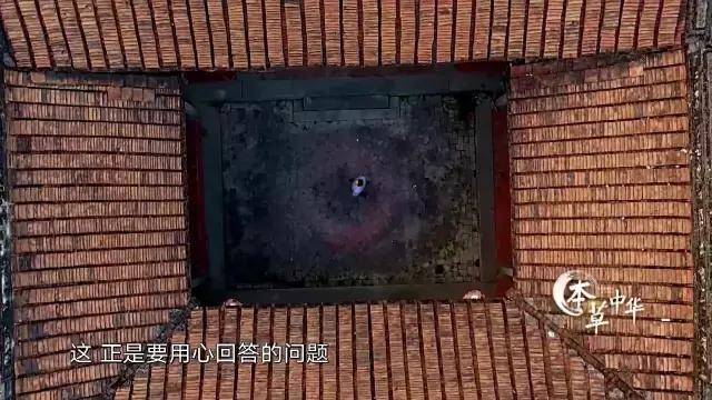 8.9，我们的片终于抢在韩国人前面