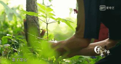 8.9，我们的片终于抢在韩国人前面