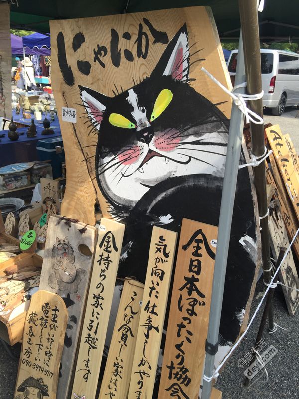 日本小众深度游玩攻略,日本关西打卡攻略