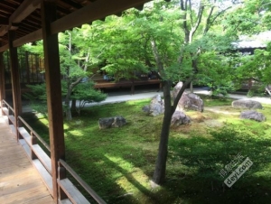 日本小众深度游玩攻略,日本关西打卡攻略