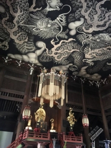 日本小众深度游玩攻略,日本关西打卡攻略