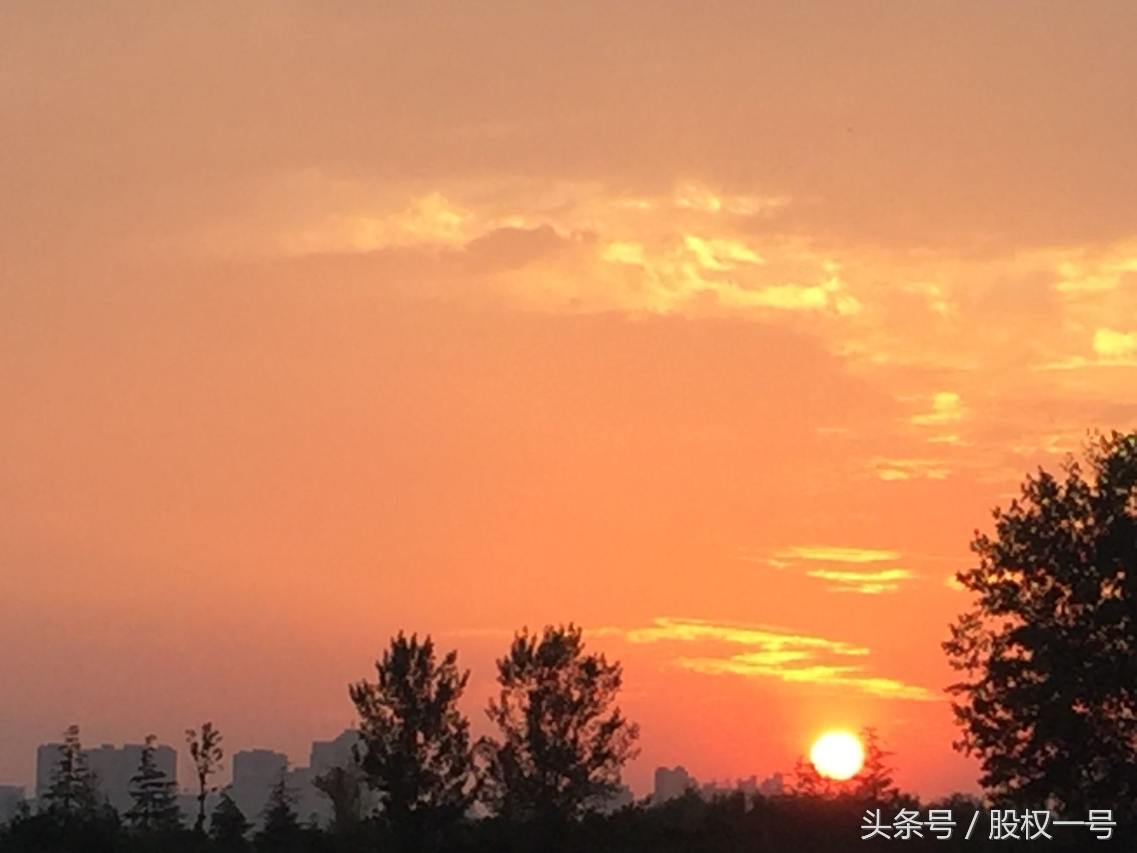 红孩子创始人是哪四个,红孩子倒闭