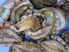 福州近郊自驾一日游,福州周末一日游景点推荐