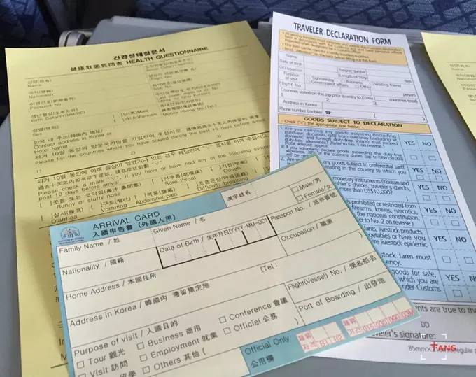 做一只治愈的猫,做一只快乐的柴犬