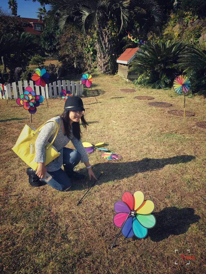 做一只治愈的猫,做一只快乐的柴犬