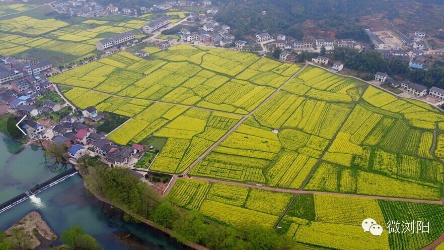 浏阳启动全域美丽乡村示范县,市创建震撼推出十条休闲农业与乡村旅游精品线路