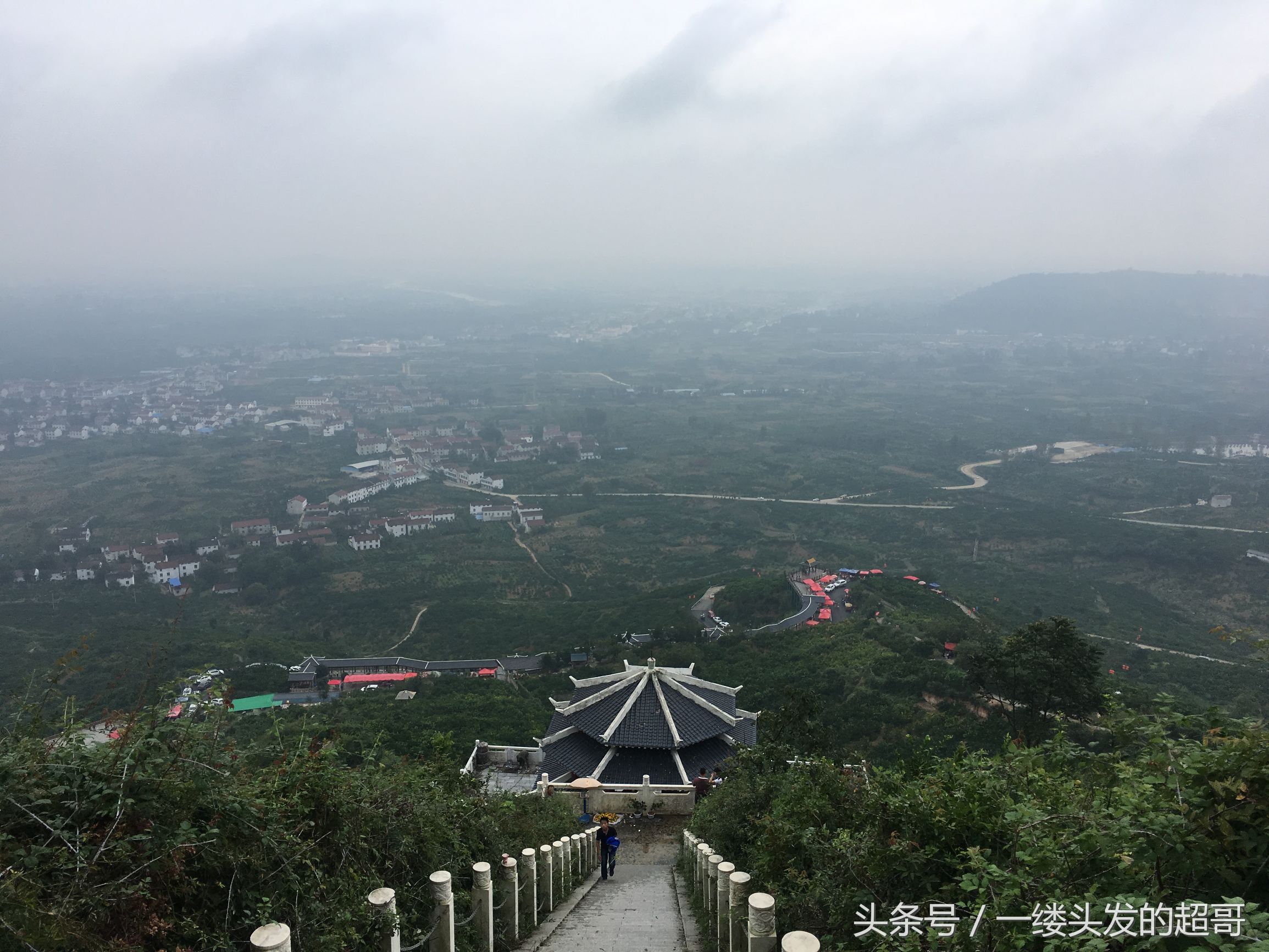 升仙村蜜橘,城固升仙村的橘子