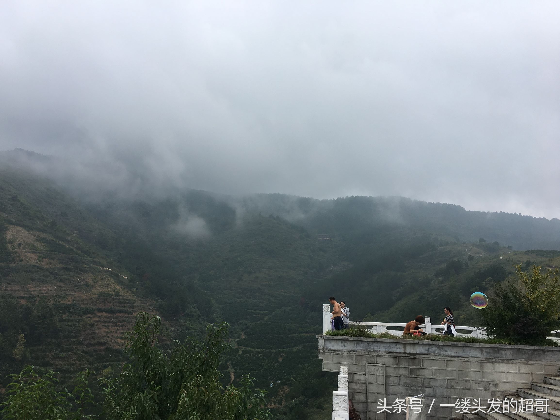 升仙村蜜橘,城固升仙村的橘子