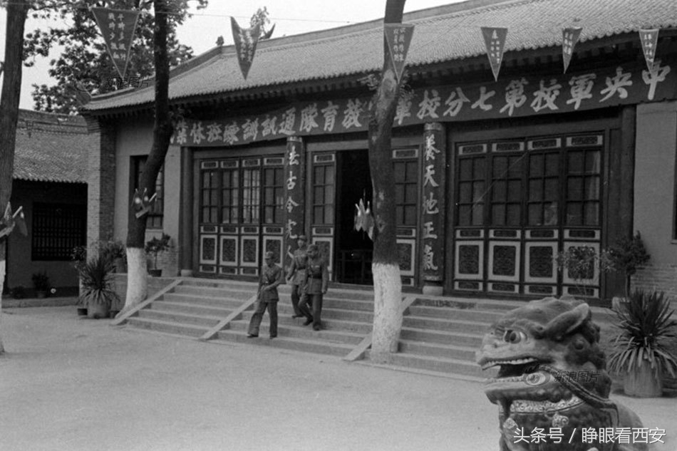 西安古村真实事件,贾里村张勇