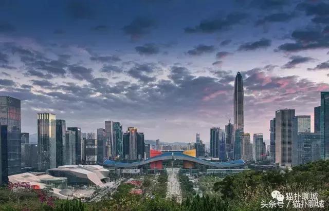 因为爱情,这几个人说出了留在或者离开聊城的原因!