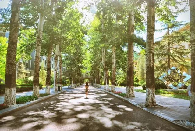 每天一所大学丨NO.4北京航空航天大学